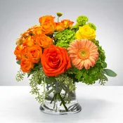 New Beginnings by BloomNation™