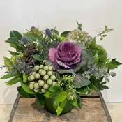 Rustic Green {Designer's Choice}