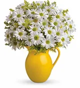 PITCHER OF DAISIES