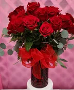 2 DOZEN RED ROSES