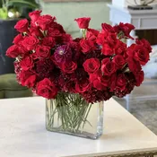 Bright Red