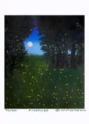 Carl Homstad: Fire Flies