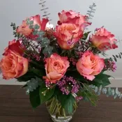 Give the Gift of Free Spirit - Half Dozen