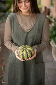 Autumn Long Sleeve by Janie B's Boutique — Cliff Avenue Greenhouse and Garden Center