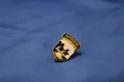 18th Airborne Division Hat Pin