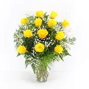 1 Dozen Yellow Roses Arranged-Long Stemmed