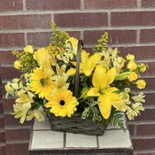 Basket Full of Sunlight