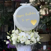 Balloon Box #3