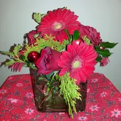 Red Delight