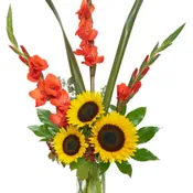 Sunrise Sunflowers