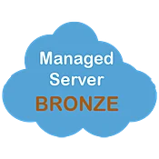 Server Support - Bronze
