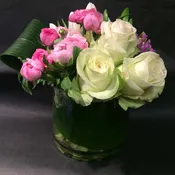 Ranuculus Delight