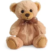 Classic Plush Teddy Bear