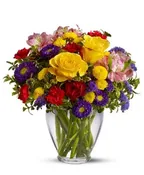BRIGHTEN YOUR DAY
