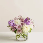 Loving Sentiments Lavender & White
