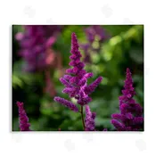 Aaron Matheson | Purple Flower in Nature Wall Art