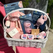 Baby Girl Gift Basket