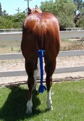 6 oz. Lycra Braid-In Tail Bag