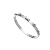 Rosy Charm Bangle Bracelet: Silver