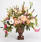 Antique Rose