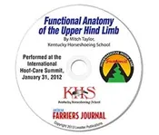 DVD: Functional Anatomy of the Upper Hind Limb
