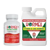 Hormex Rooting Duo – Vitamin B1 Concentrate (8 oz) + Rooting Powder #8 (21g)