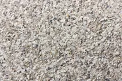 Crushed Oyster Shells for Poultry Calcium Supplement