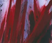 BARNABY FURNAS Untitled