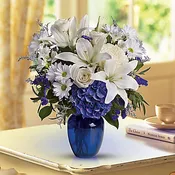 Beautiful in Blue (Hanukkah)