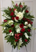 RED AND WHITE SPRAY