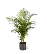 The FTD® Palm