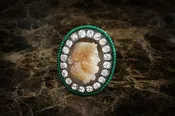 Agate Cameo, Enamel and Diamond Brooch