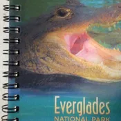 Notepad- 3D Everglades, Alligator Chomp