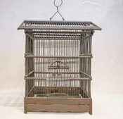 Victorian Bird Cage