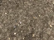 Compost - Screened Topsoil Mix