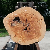 Ash Slab No. 1161