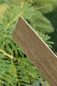 ActionBoo Core Laminations (Tapered) PAIR