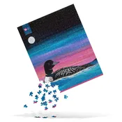 Common Loon Puzzle