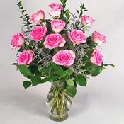 Classic Pink Roses
