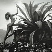 Alana (St. Barth, Grand Fond), 2011