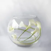 Calla Bubble — Bow & Rose Floral