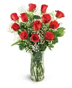 1 DOZEN CLASSIC RED ROSES