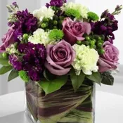 Purple passion