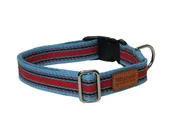 blue and red stripe collar