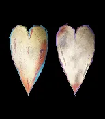 Custom Hearts