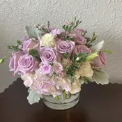 Lavender Dreams