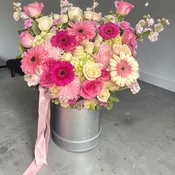 Alia box