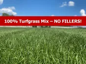 Musselman Landscape Mix
