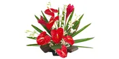 Hawaiian Flowers of the Month