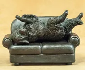 Newfoundland - Couch Potato Num. 1